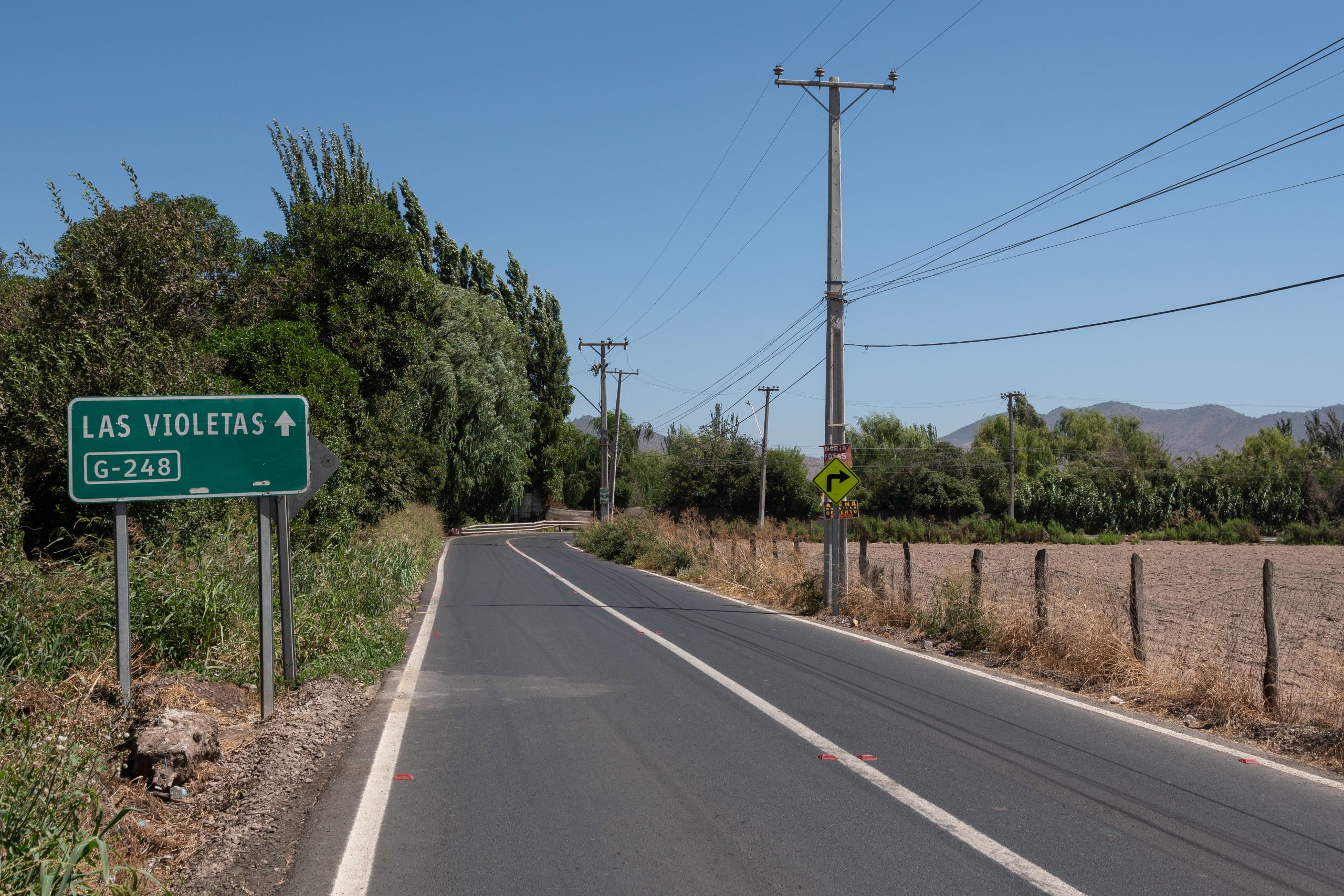 54295386816_95cd315438_5k