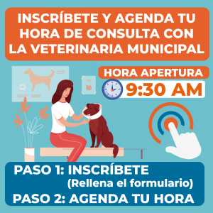 Banner-300x300-Veterinaria-1-300x300 (2)